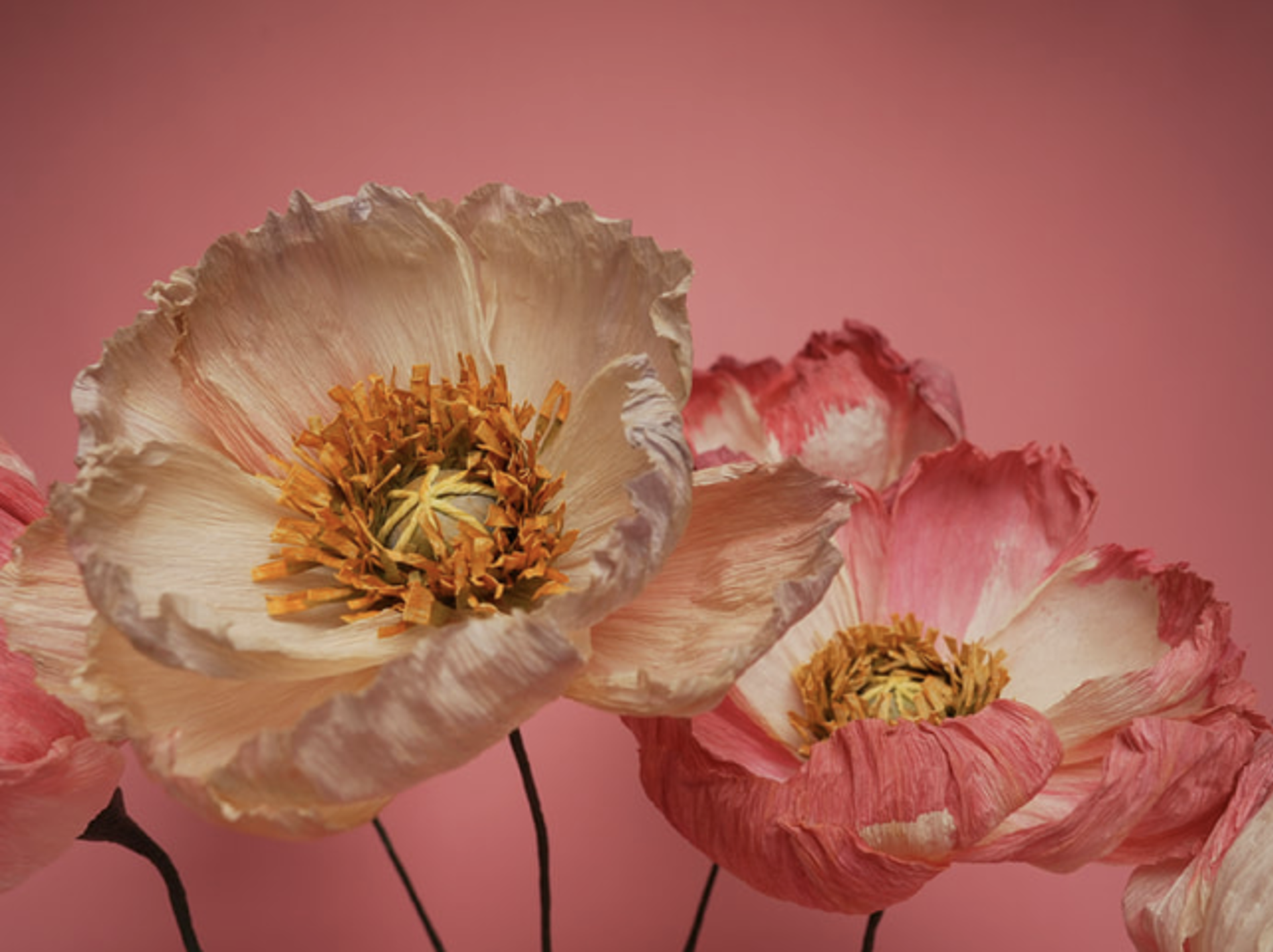 Background image - Screenshot 2025 03 02 At 16.39.37