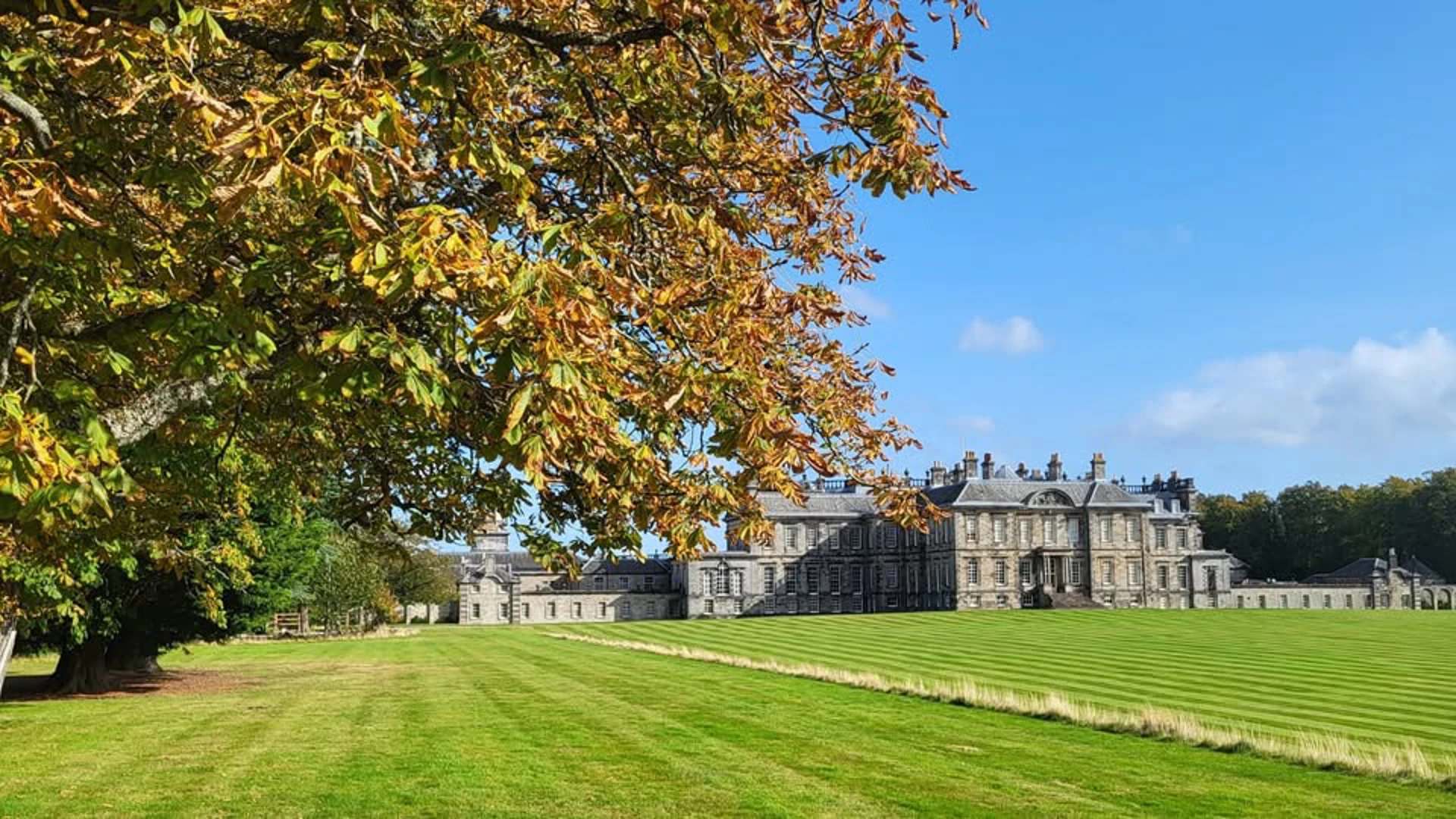 Background image - Hopetoun Tree Mendous Walk
