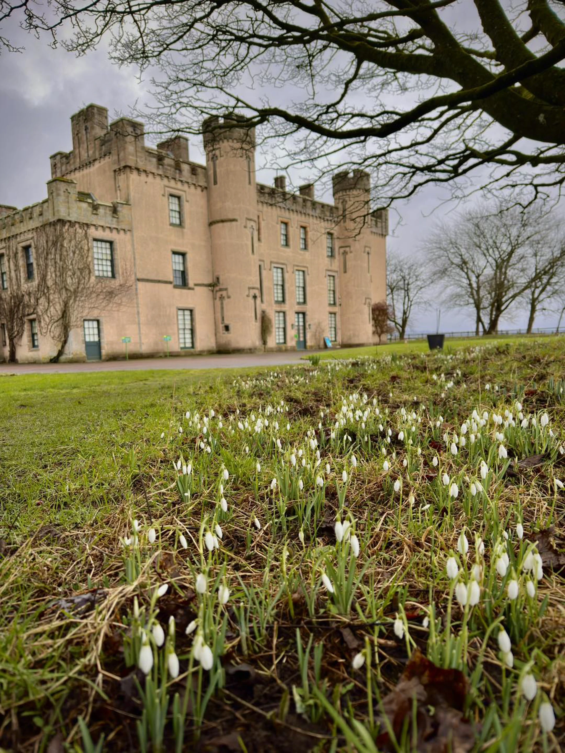 Background image - House Of Binns Snowdrop