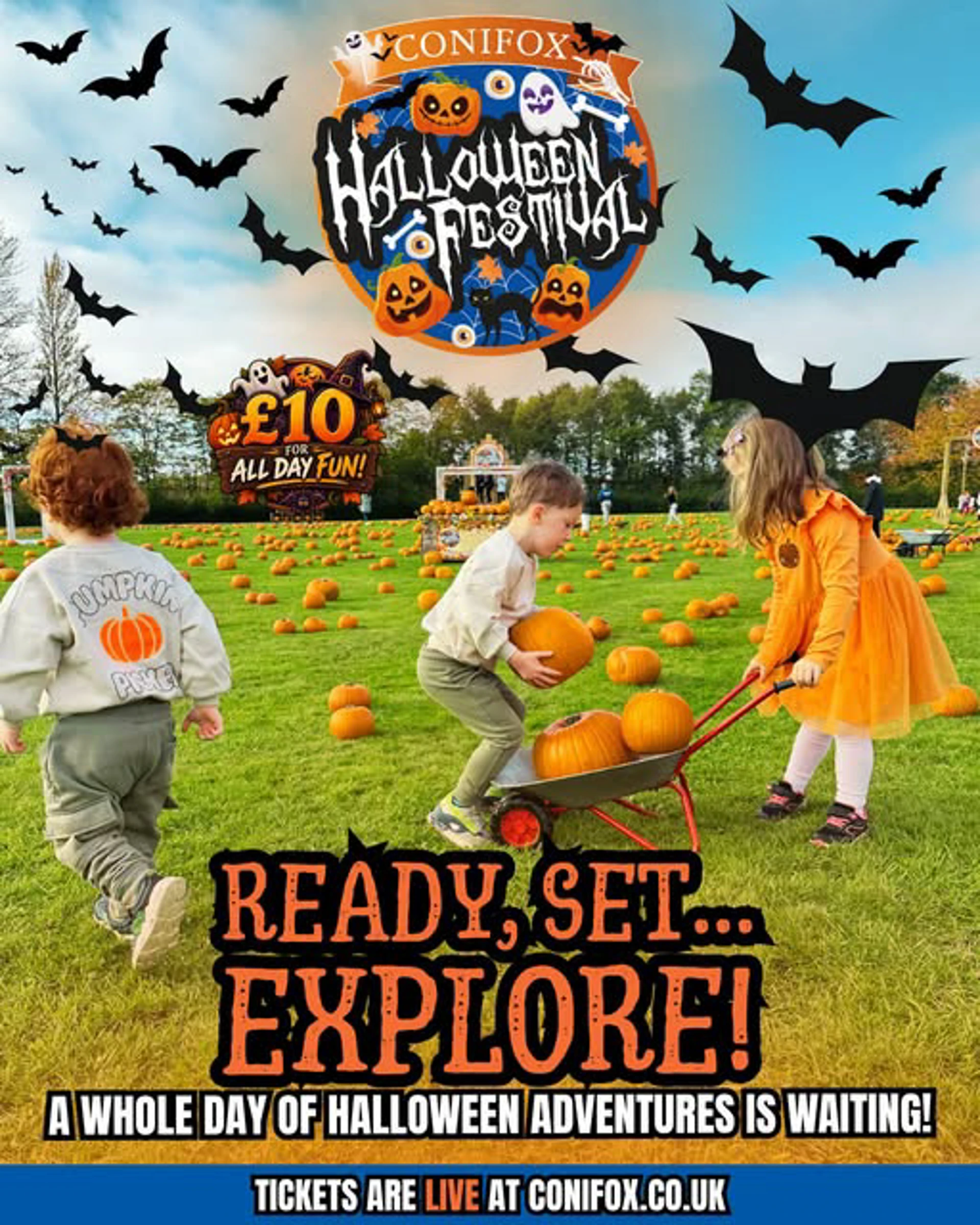 Background image - Conifox Halloween