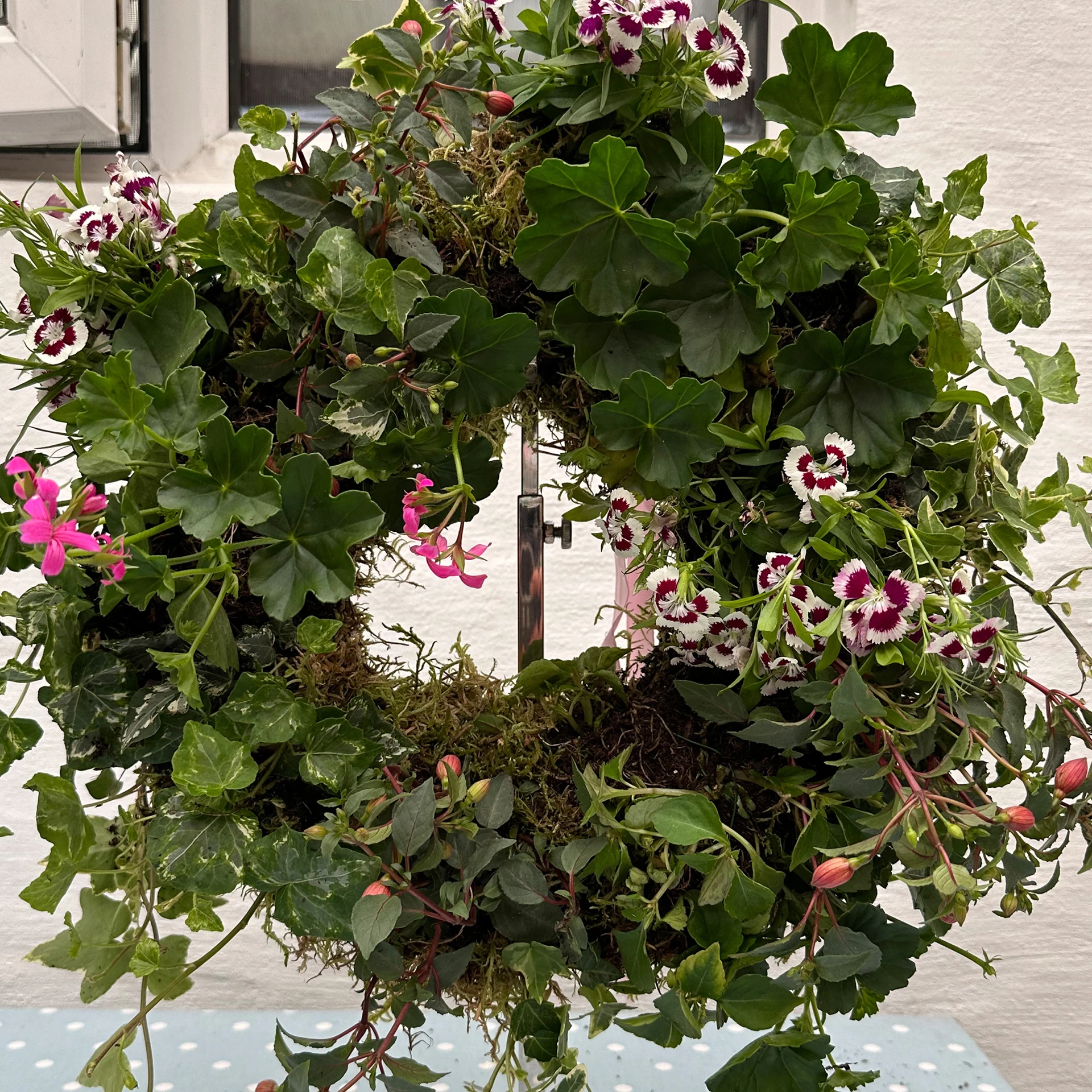 Background image - 7G Woodland Wreaths & Plants NO Number