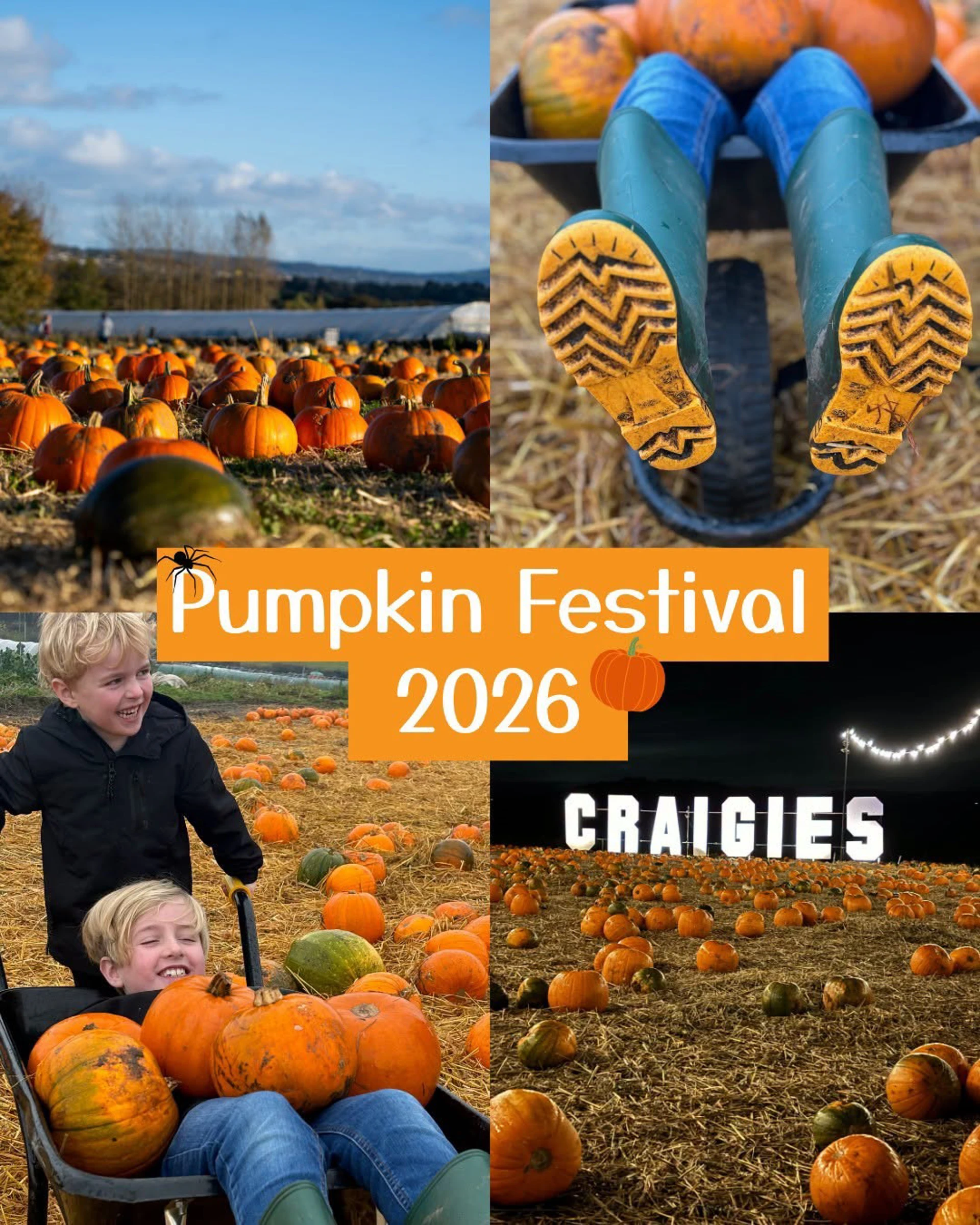 Background image - Pumpkin Picking Craigies